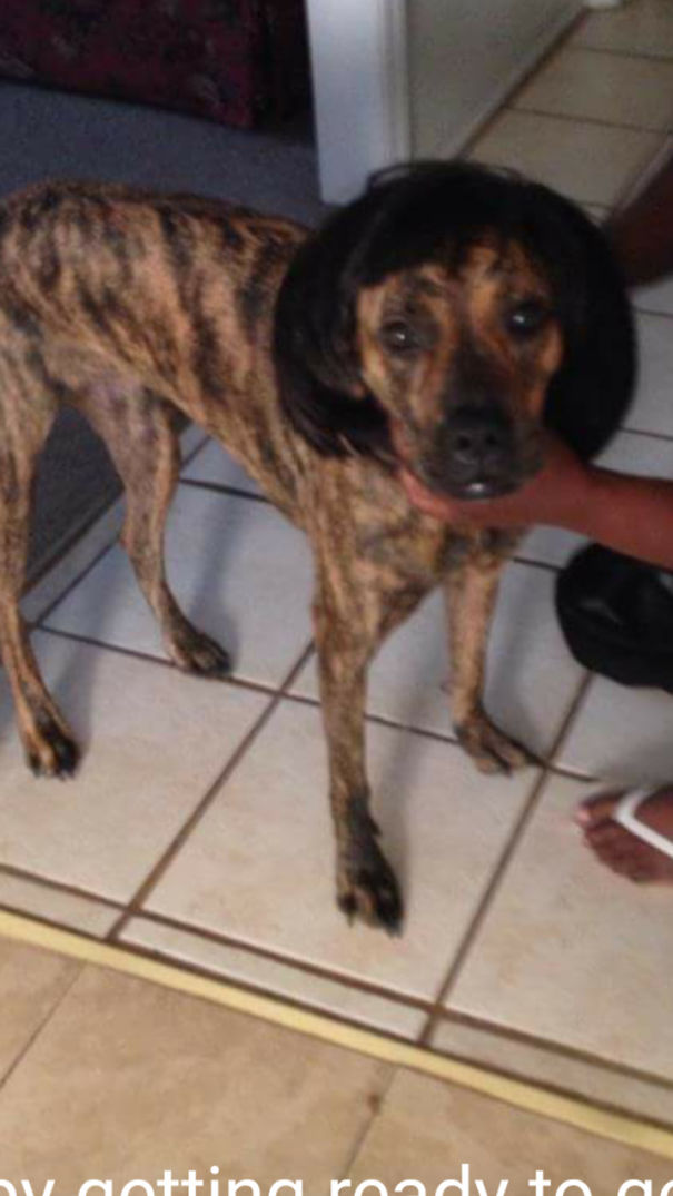 Gabby Hot Date Had To Put On The Good Hair.