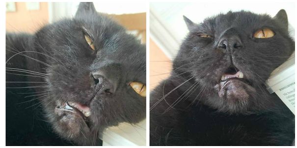 I Kind Of Ruined His Nap.