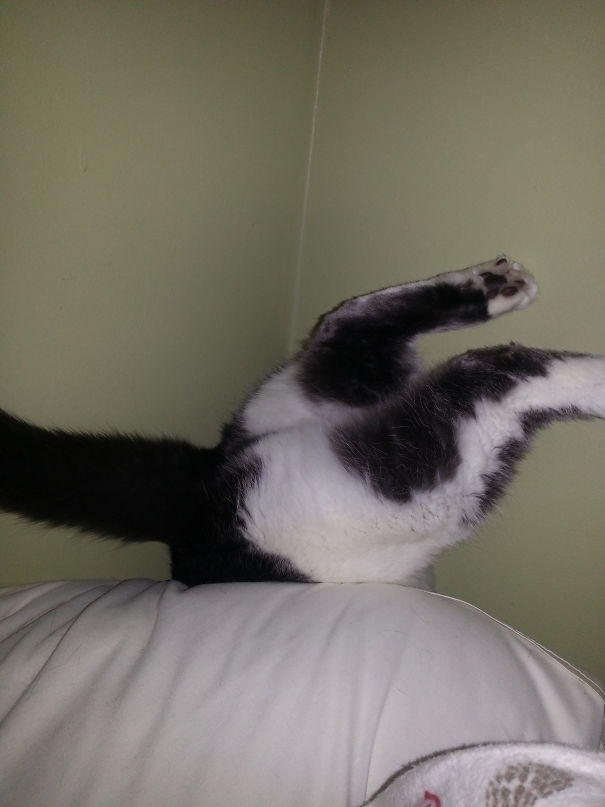 Really? You're Taking My Picture??