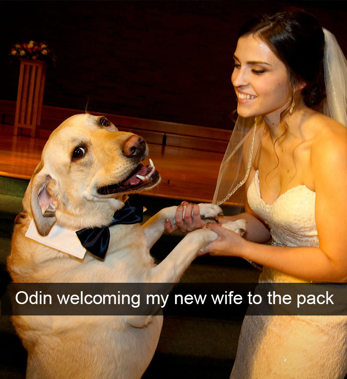 Hilarious Dog Snapchats