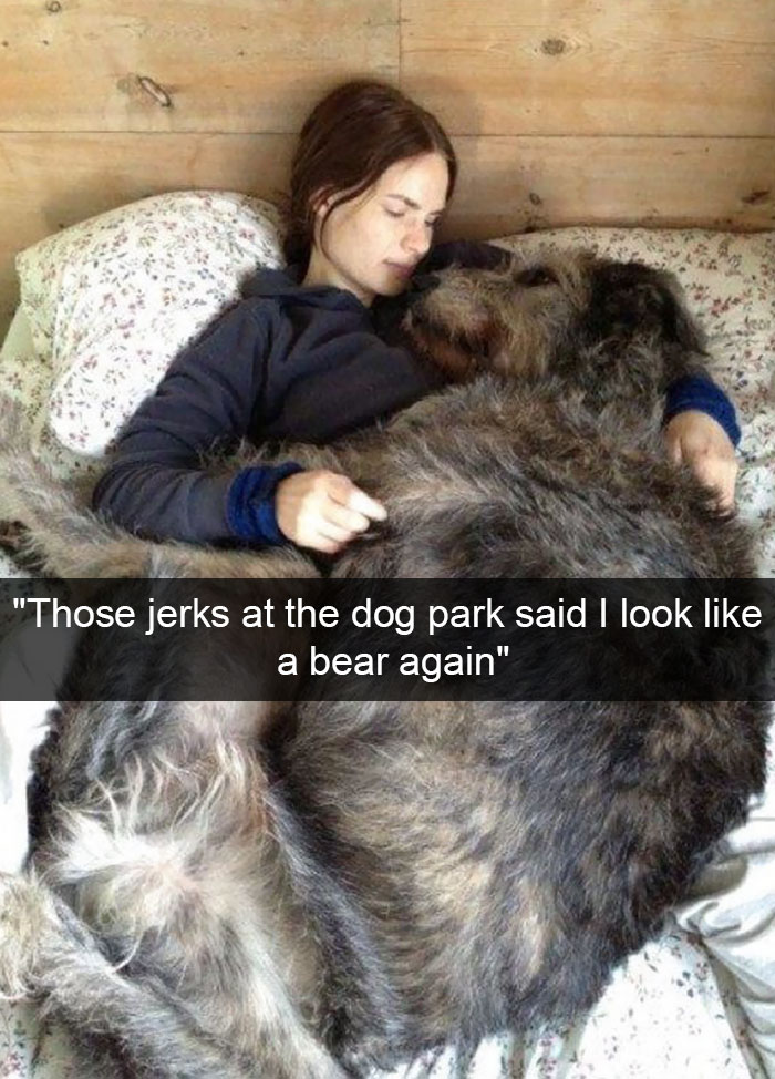 Hilarious Dog Snapchats