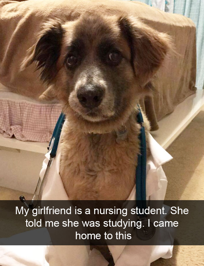 Hilarious Dog Snapchats