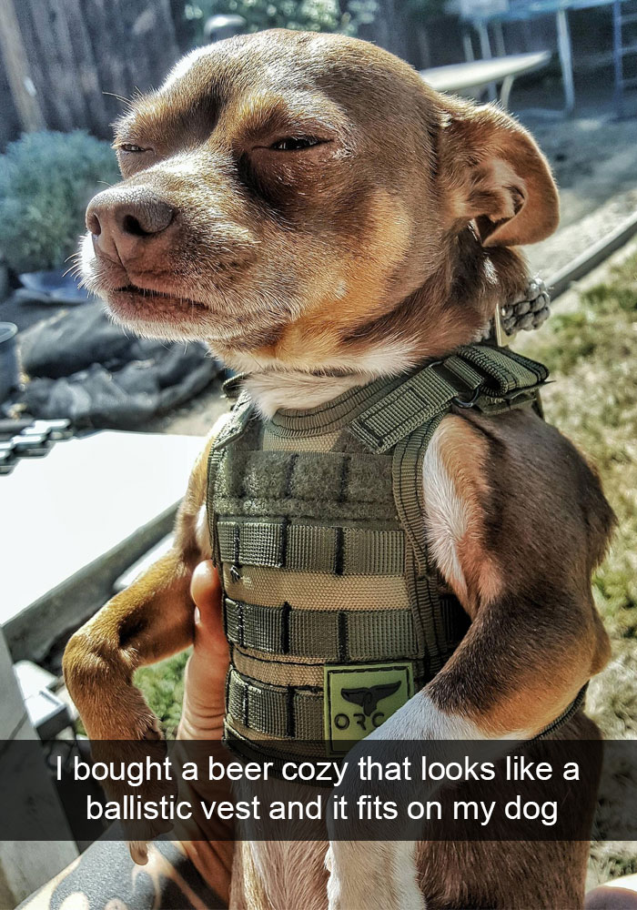 Hilarious Dog Snapchats