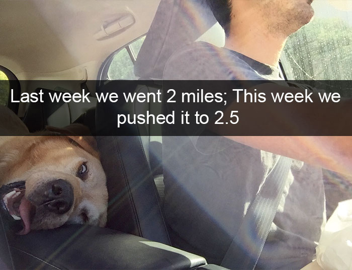 Hilarious Dog Snapchats