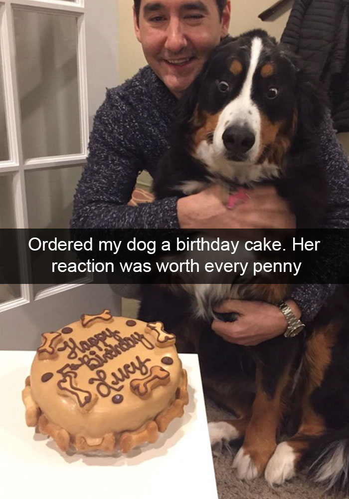 Hilarious Dog Snapchats