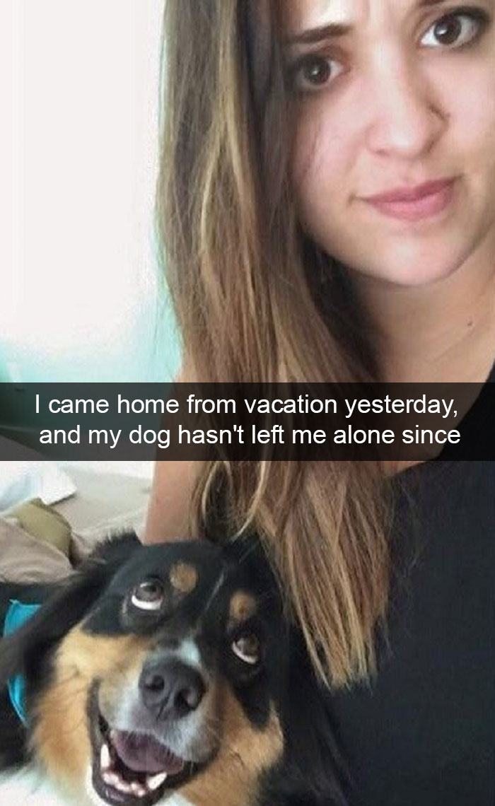 Hilarious Dog Snapchats