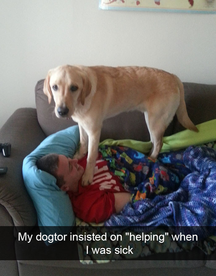 Hilarious Dog Snapchats