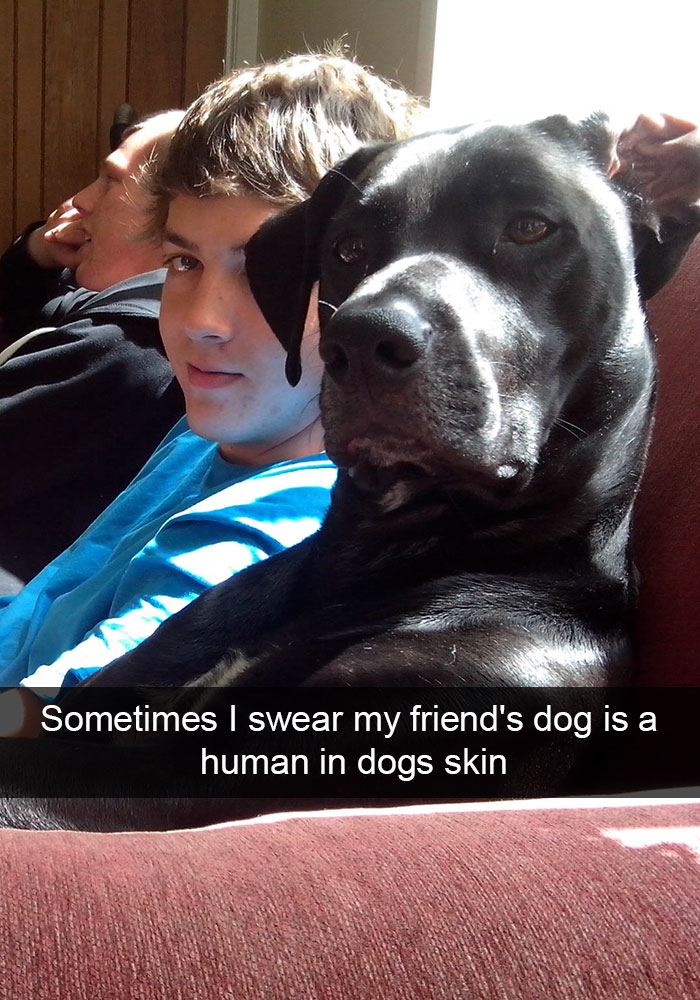 Hilarious Dog Snapchats