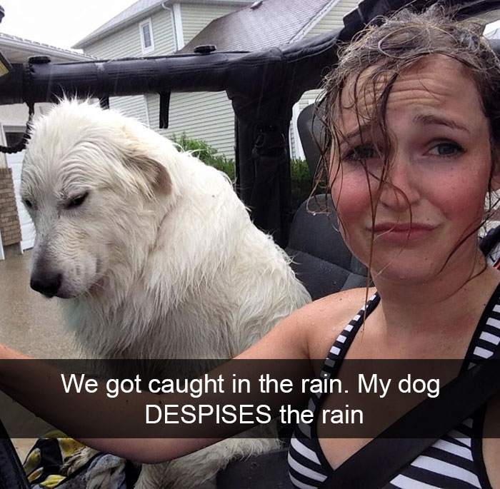 Hilarious Dog Snapchats