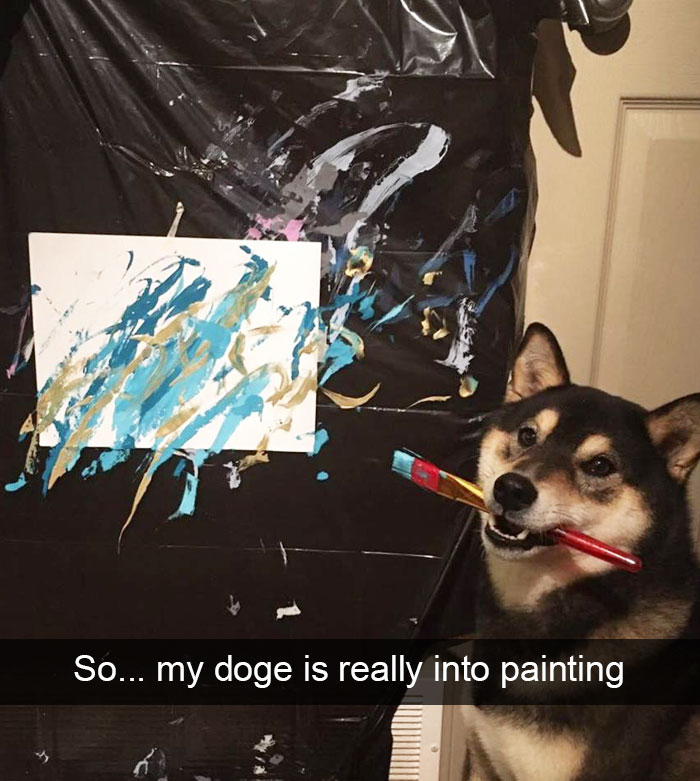 Hilarious Dog Snapchats