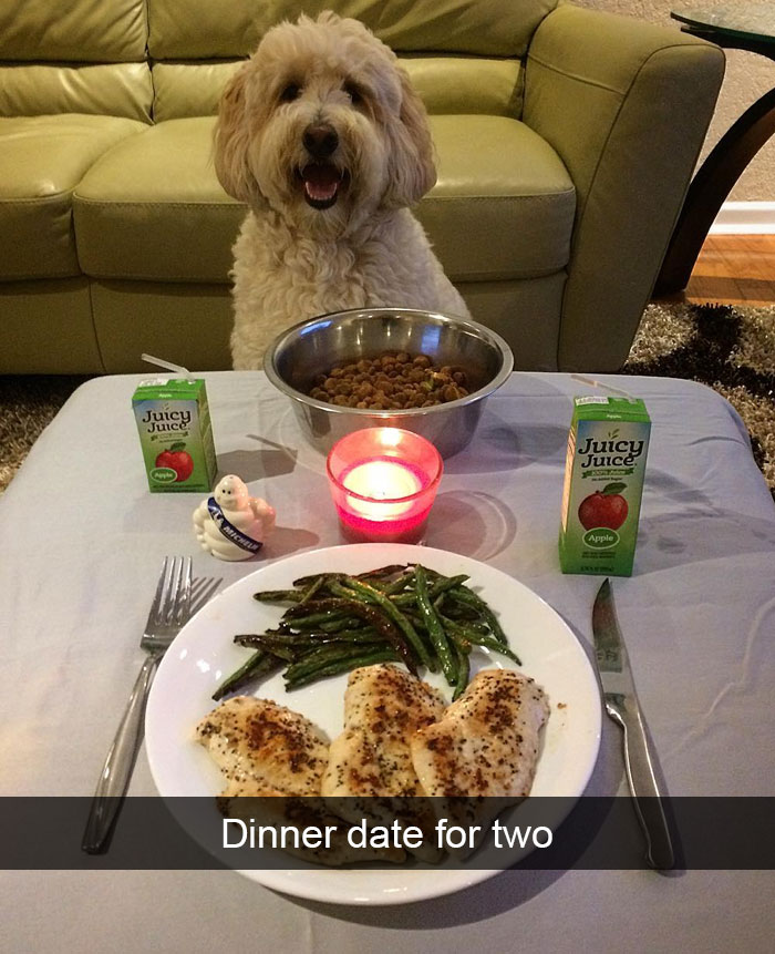 Hilarious Dog Snapchats