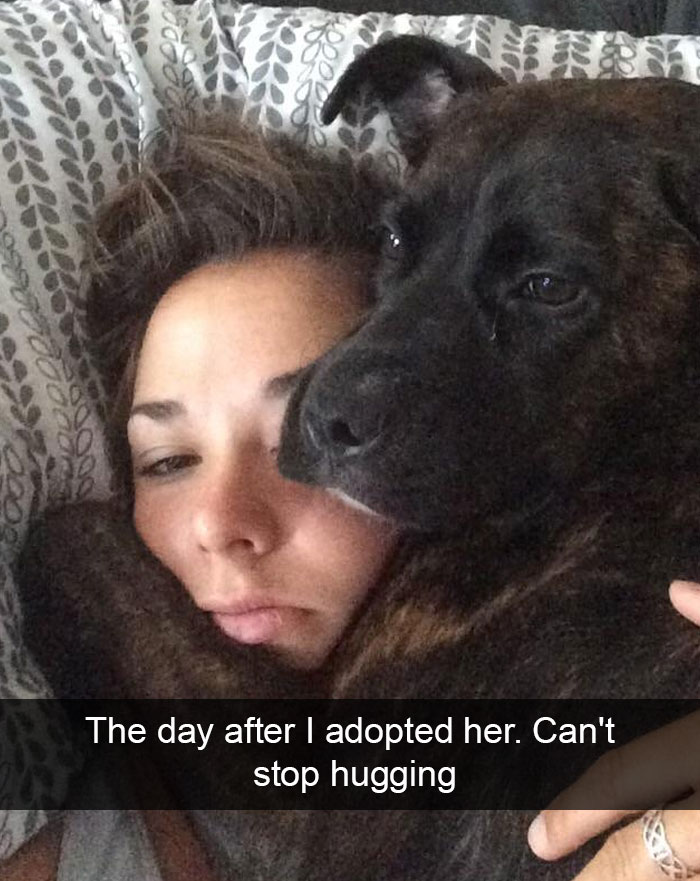 Hilarious Dog Snapchats