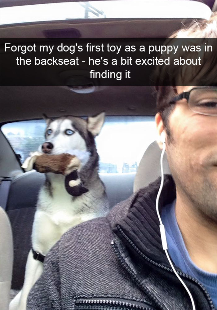 Hilarious Dog Snapchats