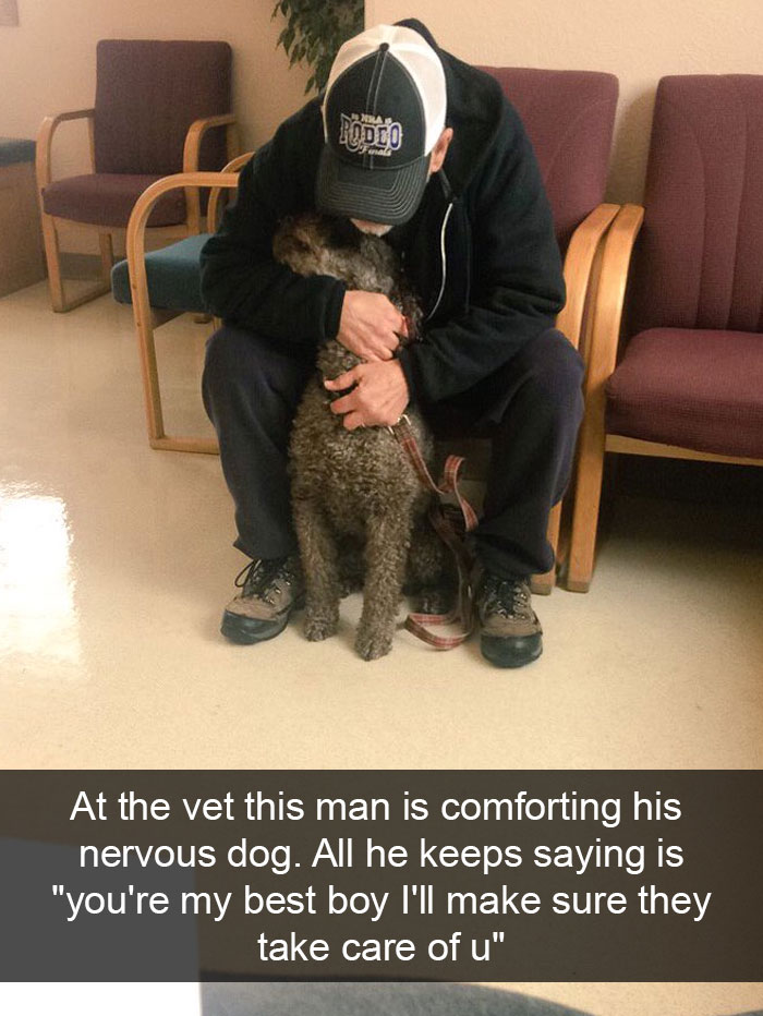 Hilarious Dog Snapchats