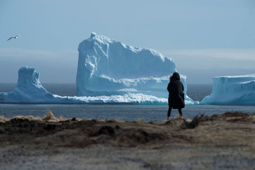 GIANT 150ft Iceberg Is Floating Past Canada, And It's 50ft Bigger Than The One That Sank Titanic GIANT 150ft Iceberg Is Floating Past Canada, And It's 50ft Bigger Than The One That Sank Titanic