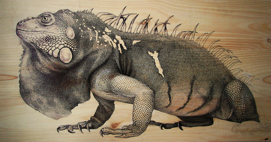 My Nature-Inspired Drawings That I Create On Recycled Wood My Nature-Inspired Drawings That I Create On Recycled Wood