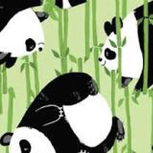 nellamberbenson20 avatar