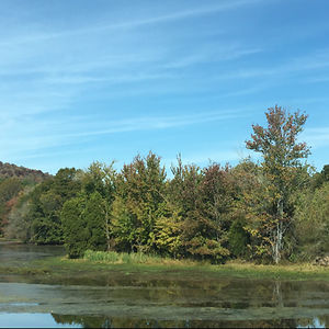 butterflyldr27 avatar