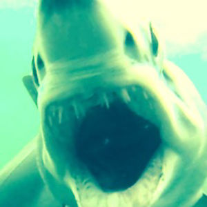 mags-treehouse avatar