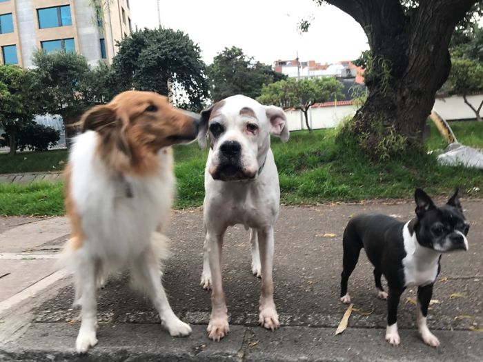 My Three Girls Comes In Different Colors, Sizes And Ages But At The End They All Are Just Love