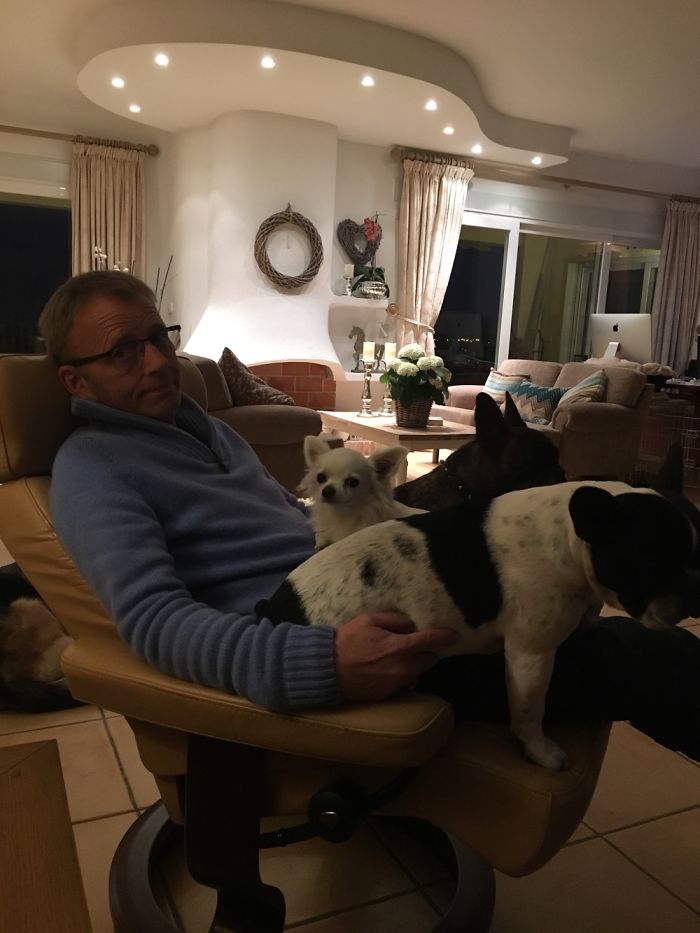 My Lap Is Too Small 2 Dogs Left On The Floor