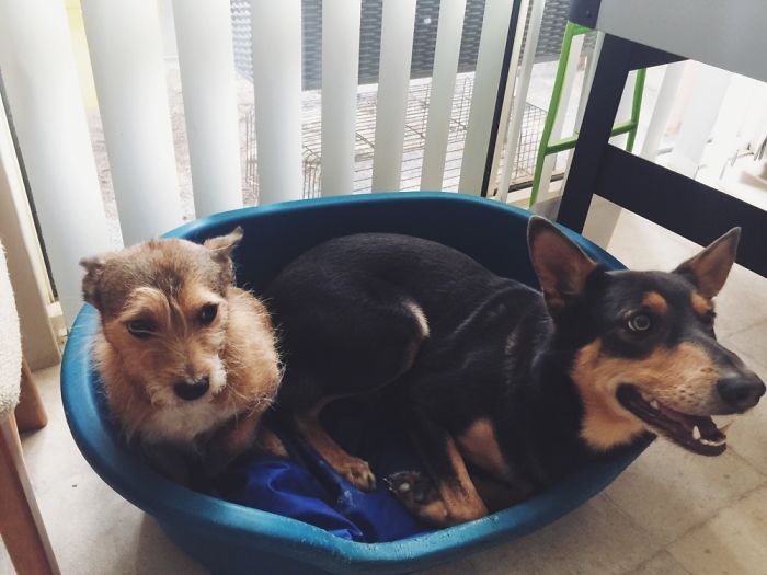 Awkward Family Photo