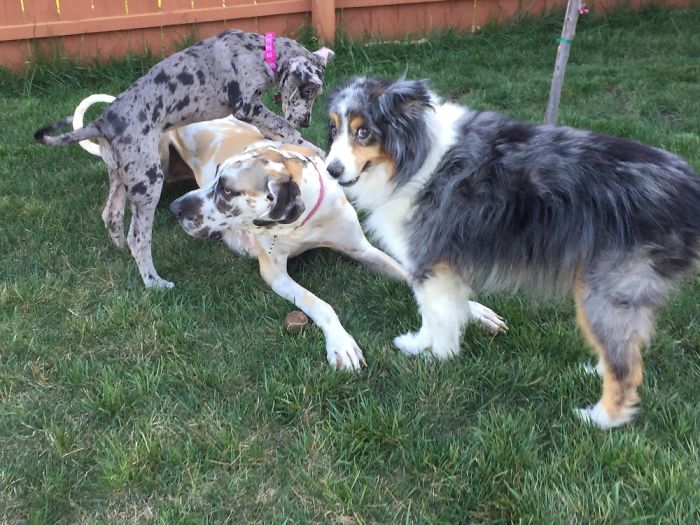 Nothing To See Here.