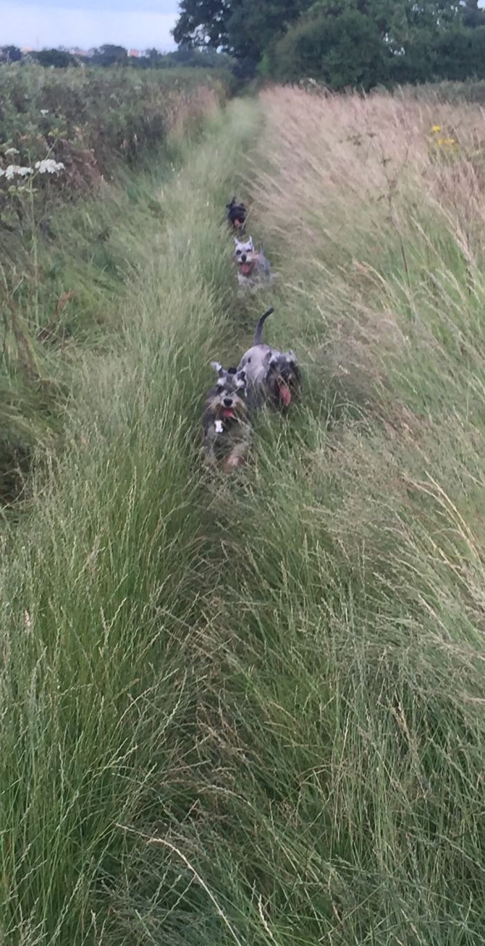 We Love An Adventure