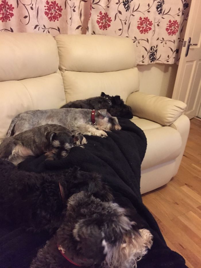 We Also Love To Be Cozy