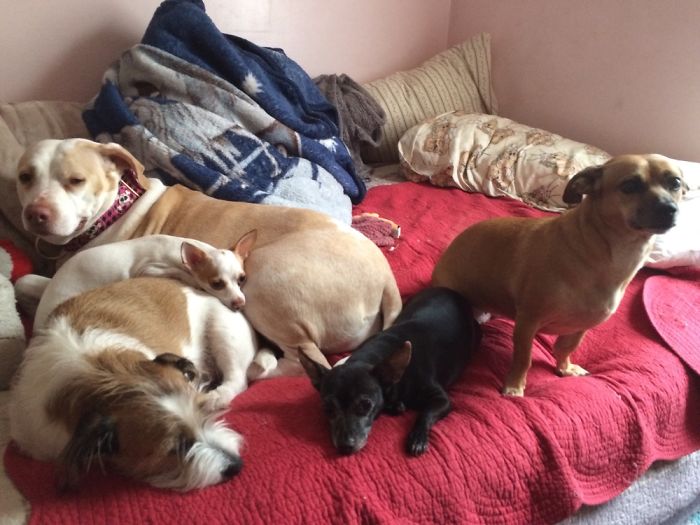 Your Bed Is Never Your Own