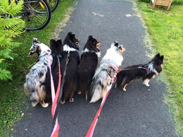 Sometimes We Can Get Tangled. 😂