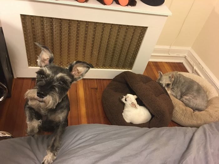 Well I Only Have Two Beds.