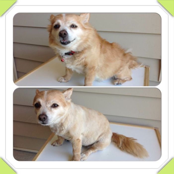 My Late Kay Bear. I Miss You So Much Bear.