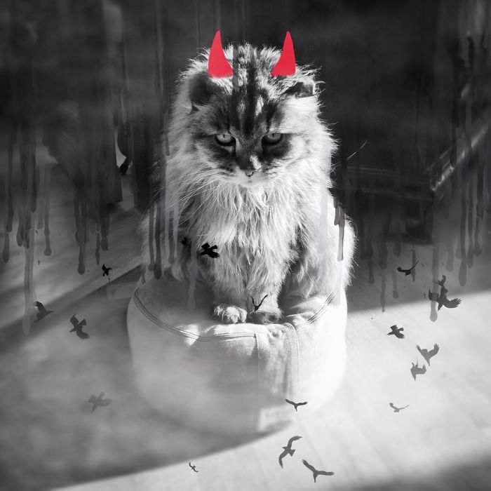 You Dare To Ask This Pillow Back?