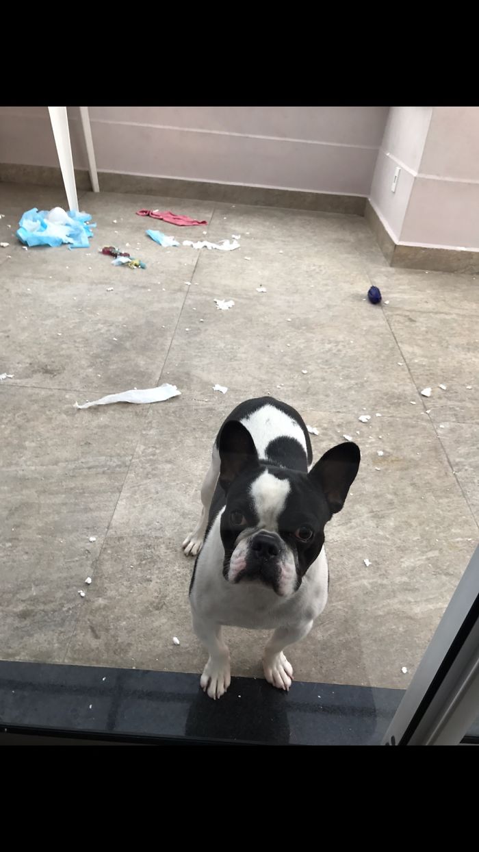 Just Left Him Alone For A Minute