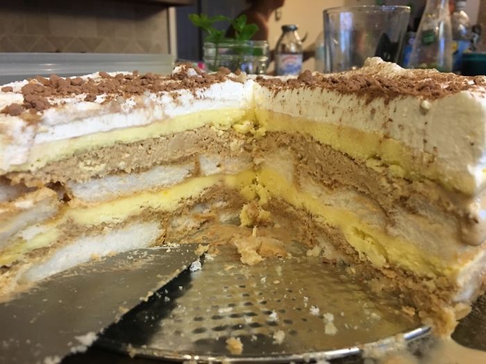 Tiramisu Ice Cream Cake. Not The Most Beautiful But The Tastiest Thing I Ever Made ... Yum!