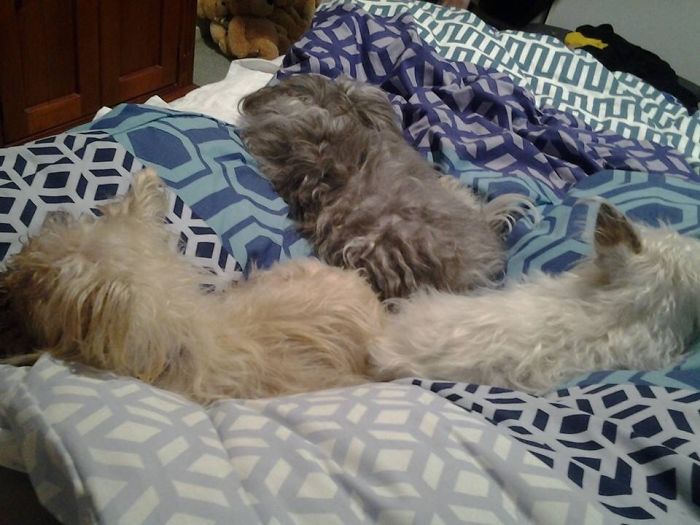 They Moved Up North When Mum Moved. Im Pretty Sure They Miss Me As Much As I Miss Them.