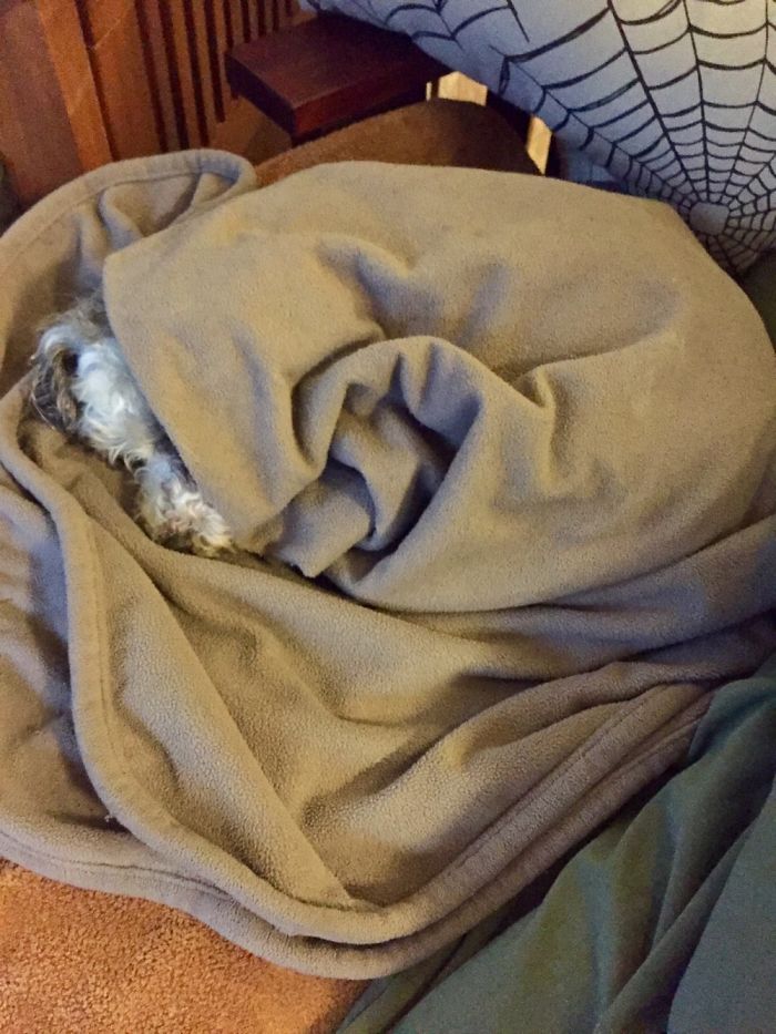 14 Year Old After A Bath