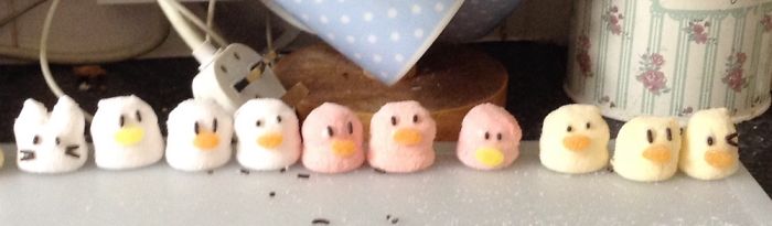 Chick Marshmallows (and Kitty)