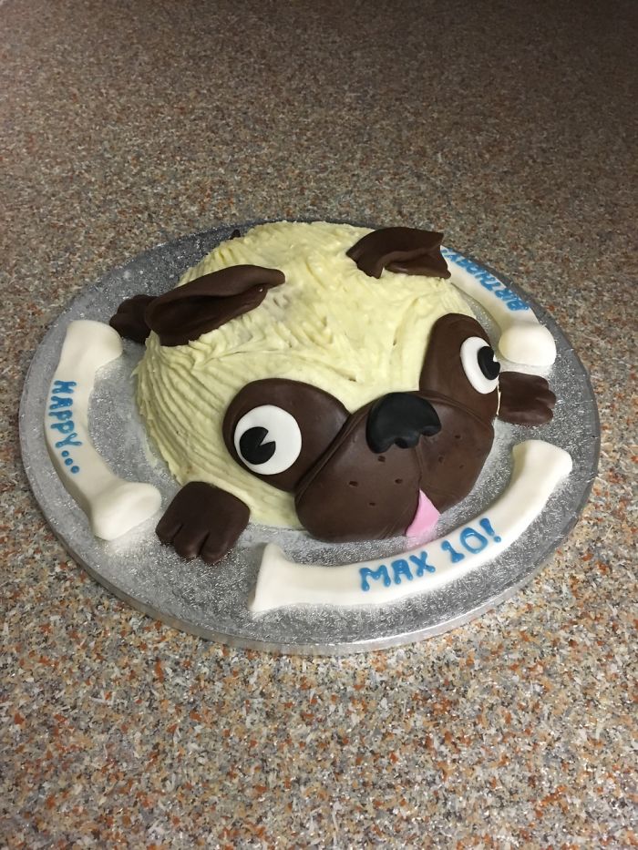 My Godson Loves Pugs At The Moment...