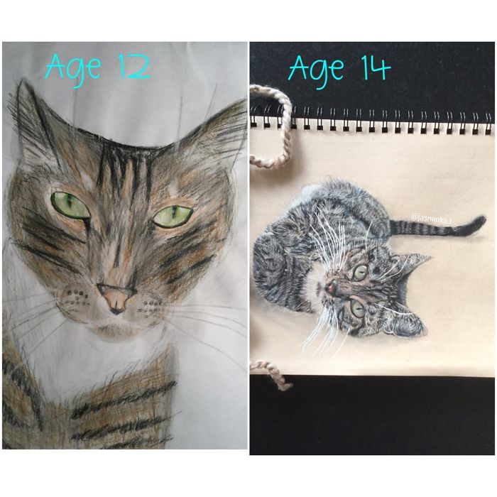 Drawing Of Ginger Two Years Ago And Now.