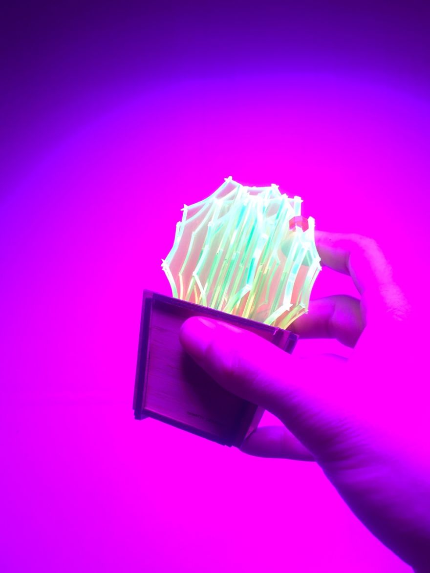 I Create Fluorescent Acrylic Plant Sculptures I Create Fluorescent Acrylic Plant Sculptures