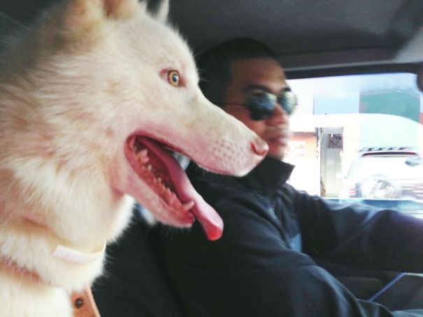 Was Taking A Pic Of My Hubby When Our Dog Suddenly Came Forward