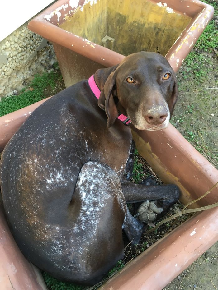 This Girl Siting In A Flower Pot