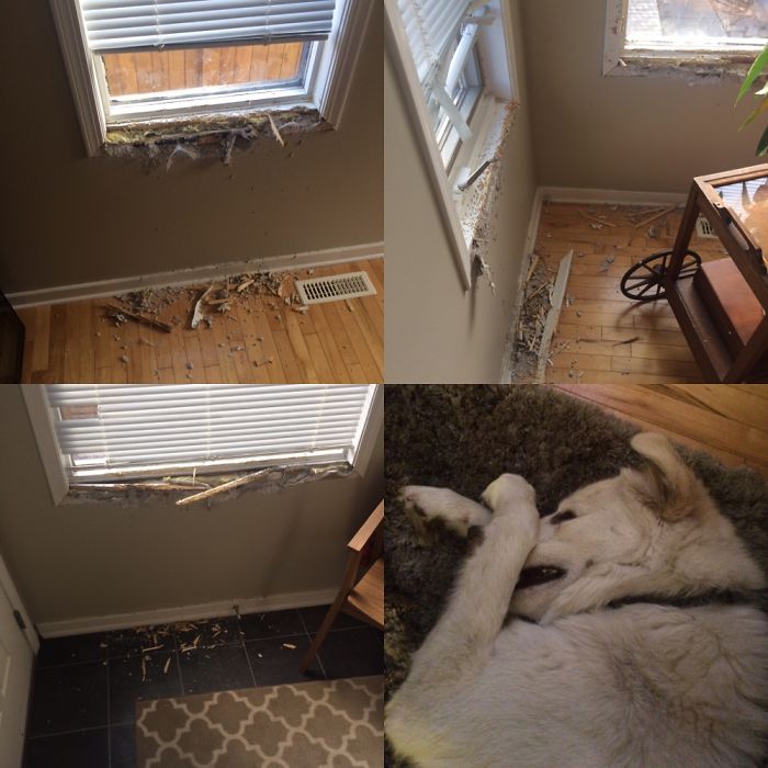 Good Thing He's Cute!