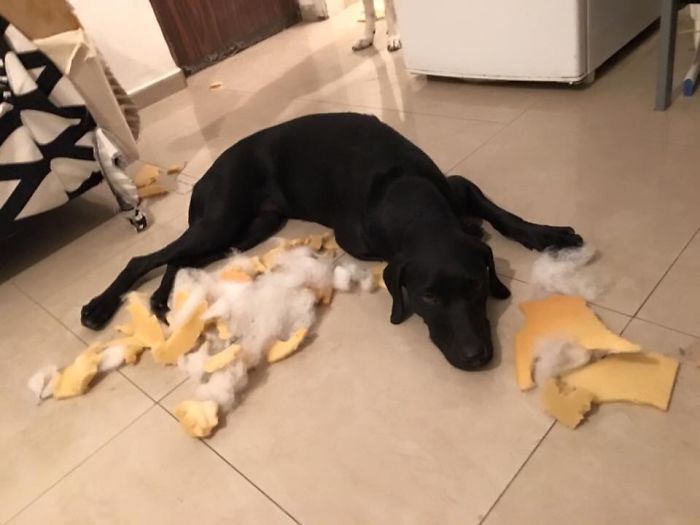 Dunno What Happened Here...