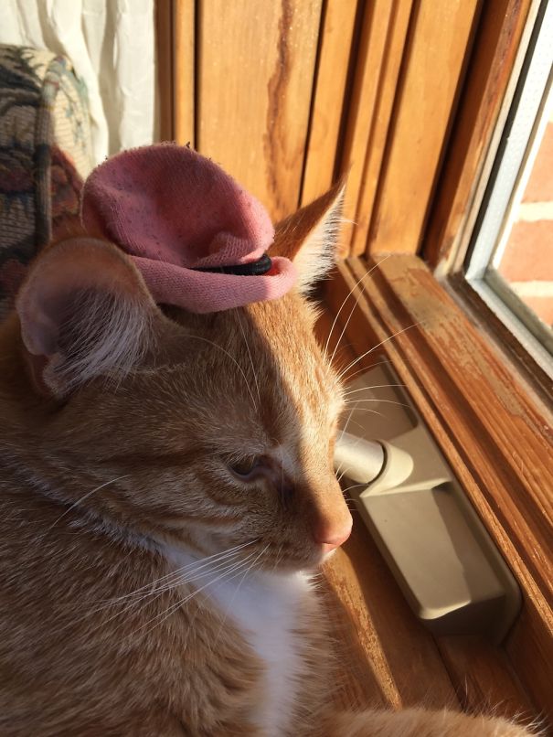 Hamilton With A Hat My Daughter Made