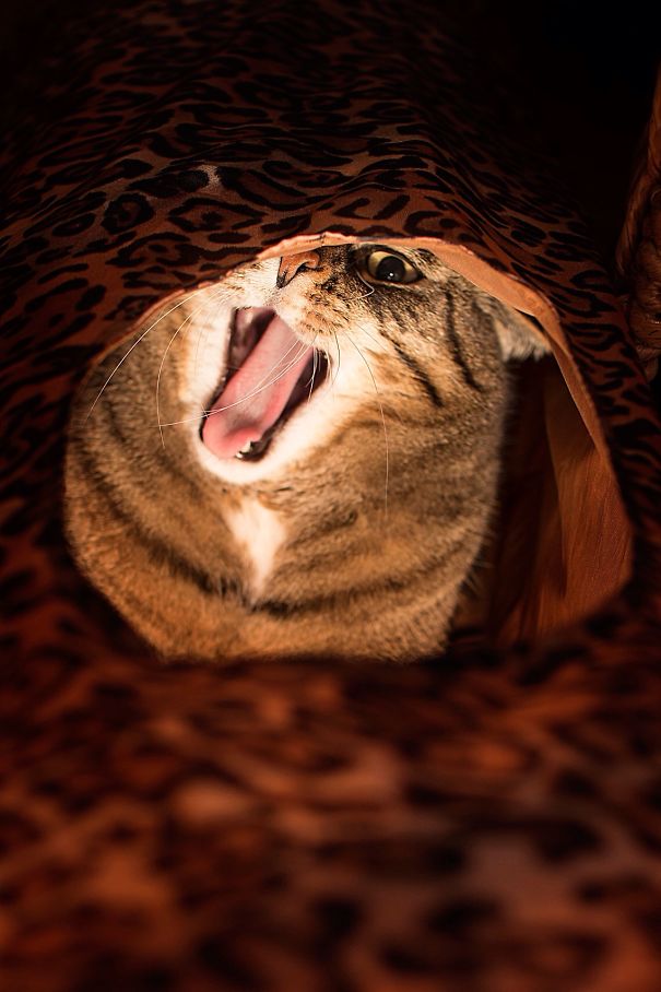 Stay Away From My Tunnel!!!