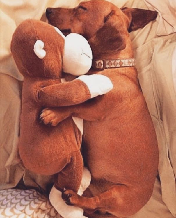 Happiness Personified