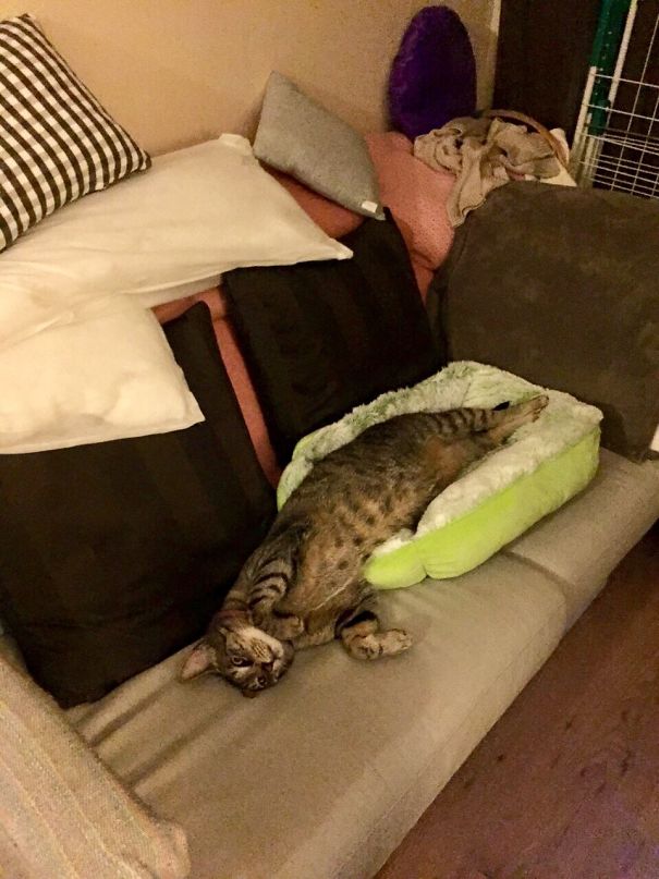 Need. Bigger. Basket.